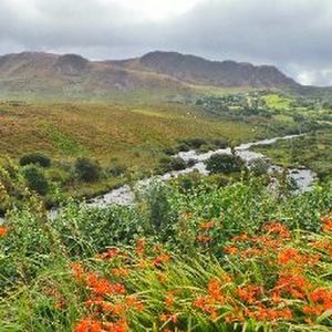 Meet your Posher, Shirin